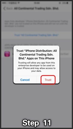 ios install step 6 click trust